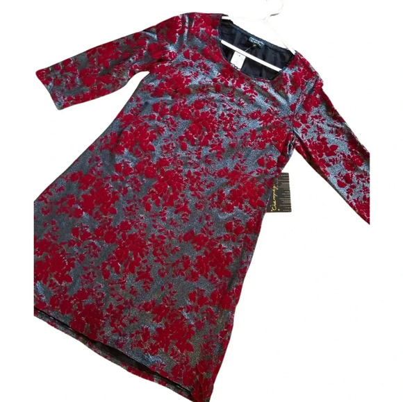 NWT silver and red velvet dress - Picture 2 of 5